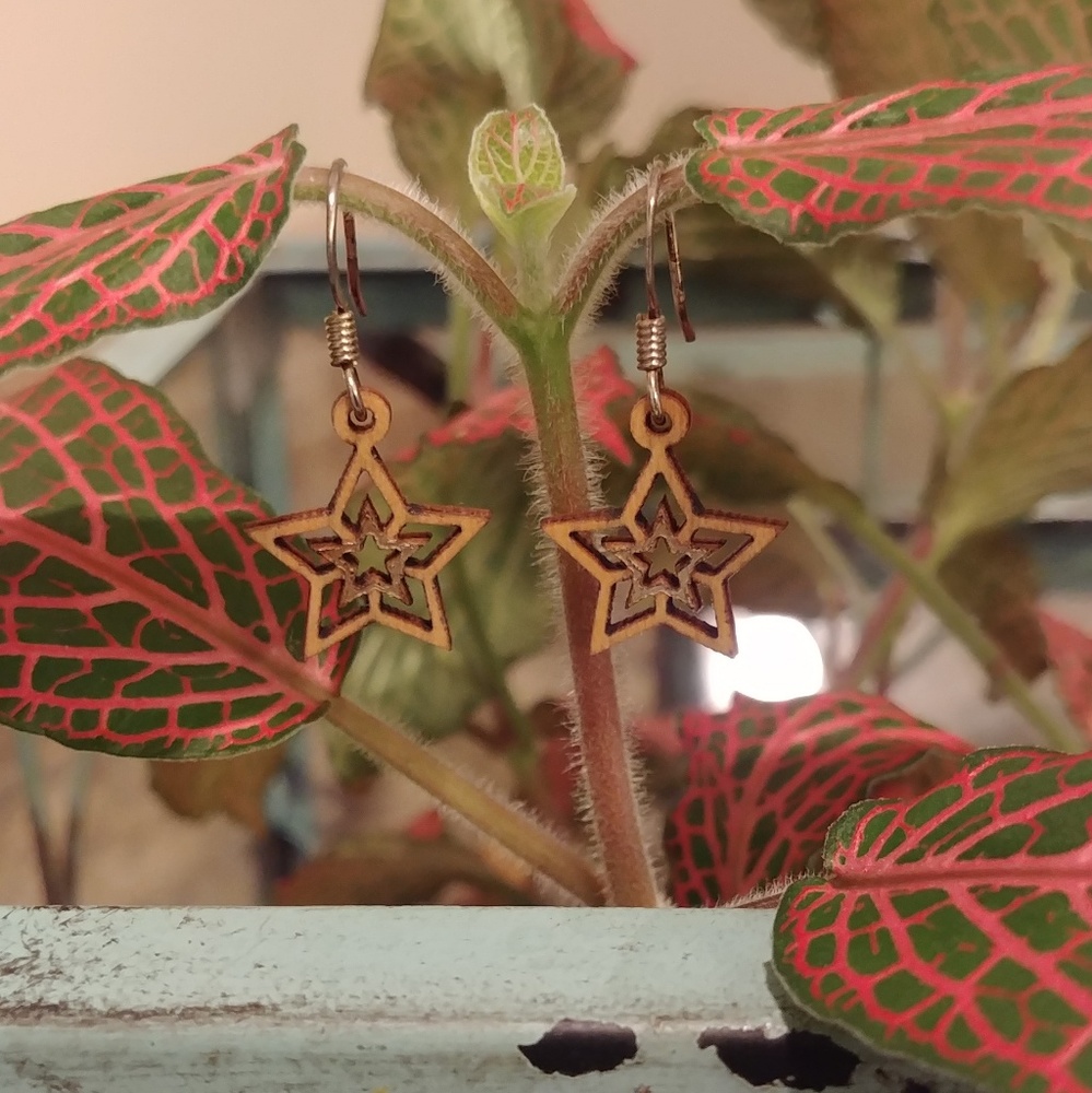 Wood earrings